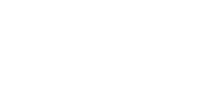 Cabin Village & Associates, LLC